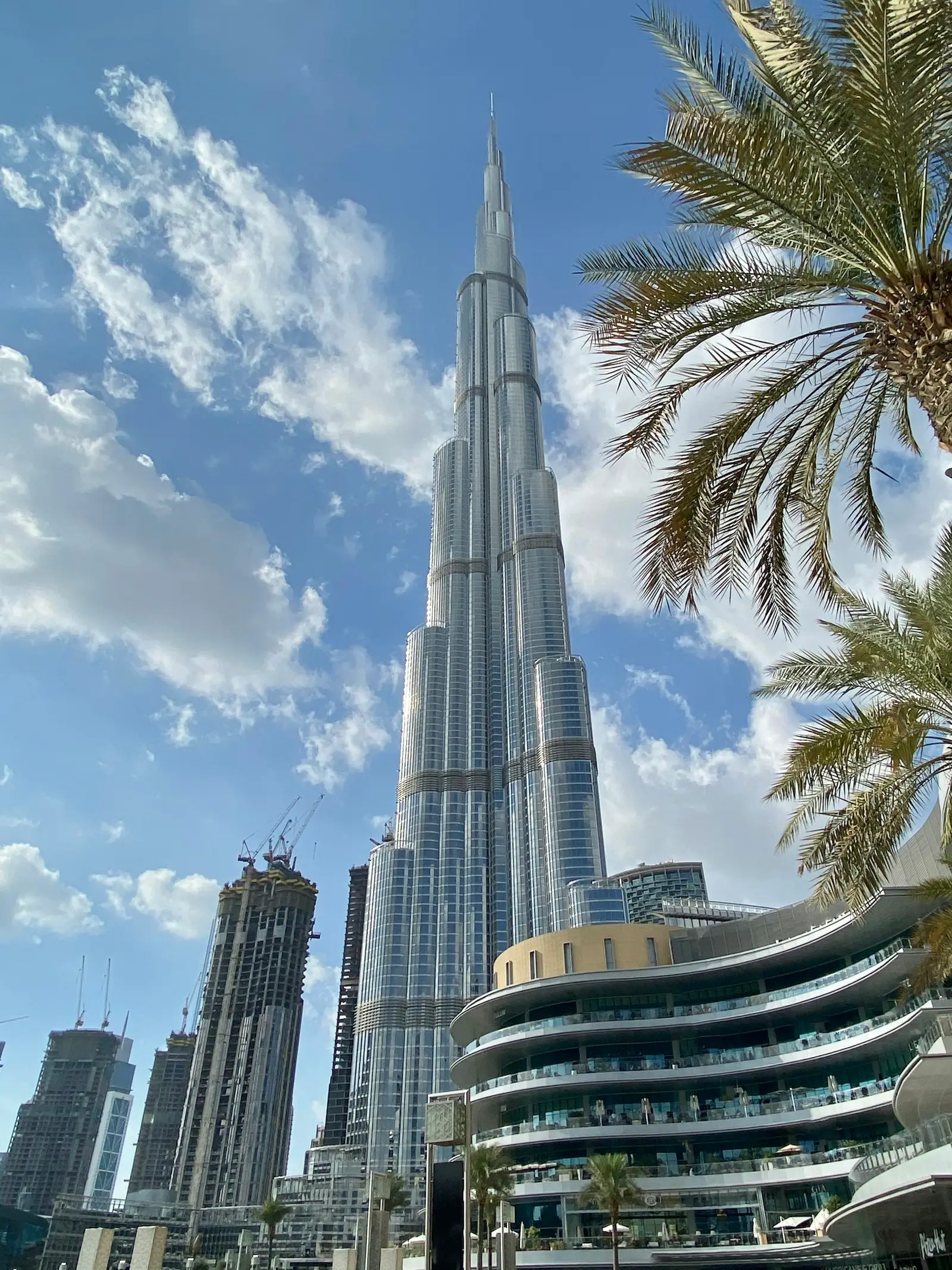 Burj Khalifa and palm trees in Downtown Dubai